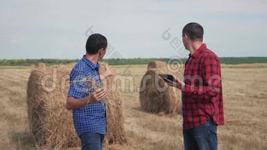 团队农业智慧农业理念.. 两个男子农民工人在野外生活方式的干草堆上研究数字